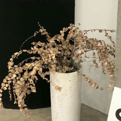 Furry插画故事感营造兽圈群